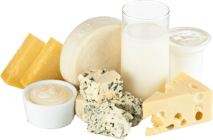 Dairy